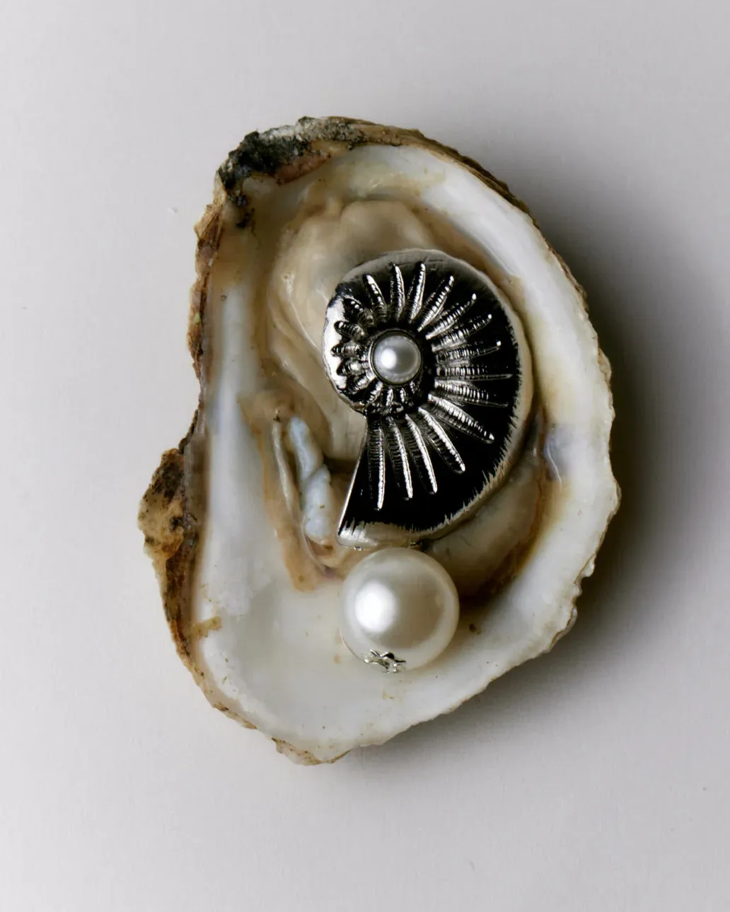 8 Other Reasons Statement Shell Earring