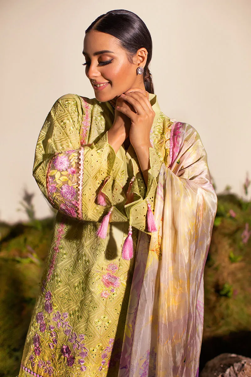 Ansab Jahangir Luxury Lawn Collection – Saga