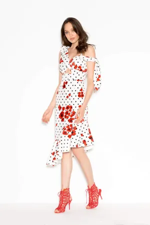 Poppy Dot Dress (For Hire)